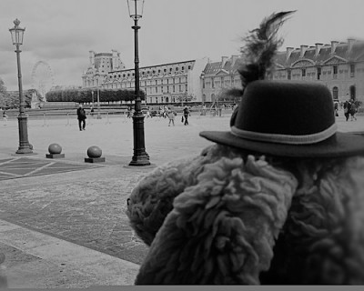 Woofers’ “Oui Oui” All the Way Through Paris, France.