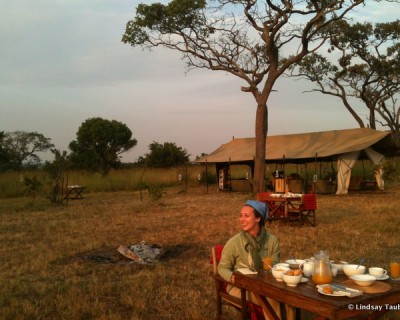 Serengeti Serenity