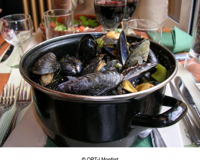 A “Brusselicious” Tour of Belgium: Waffles, Festivals & Mussels