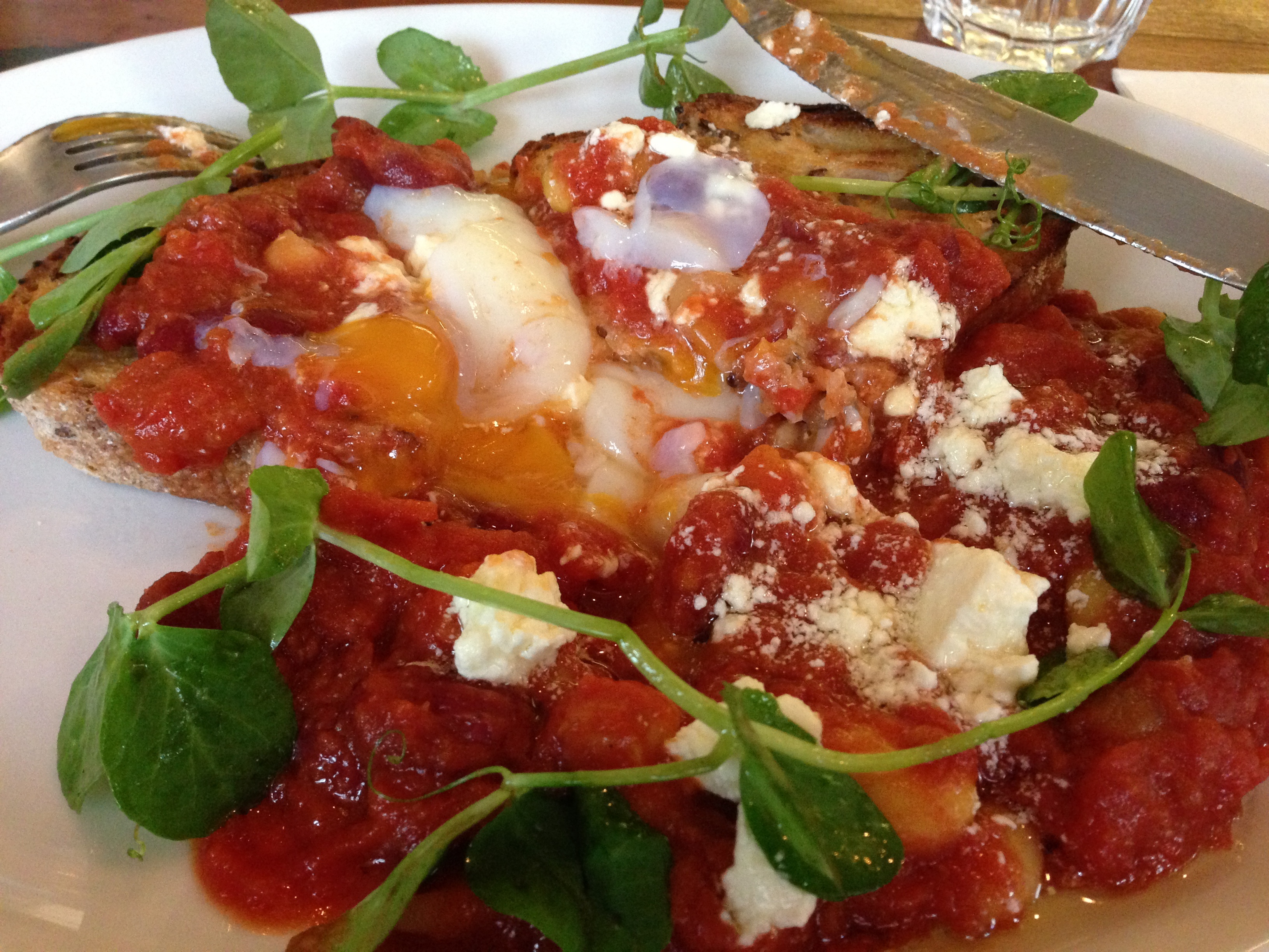 Poached eggs with tomato sauce and beans at Single Origin Roasters