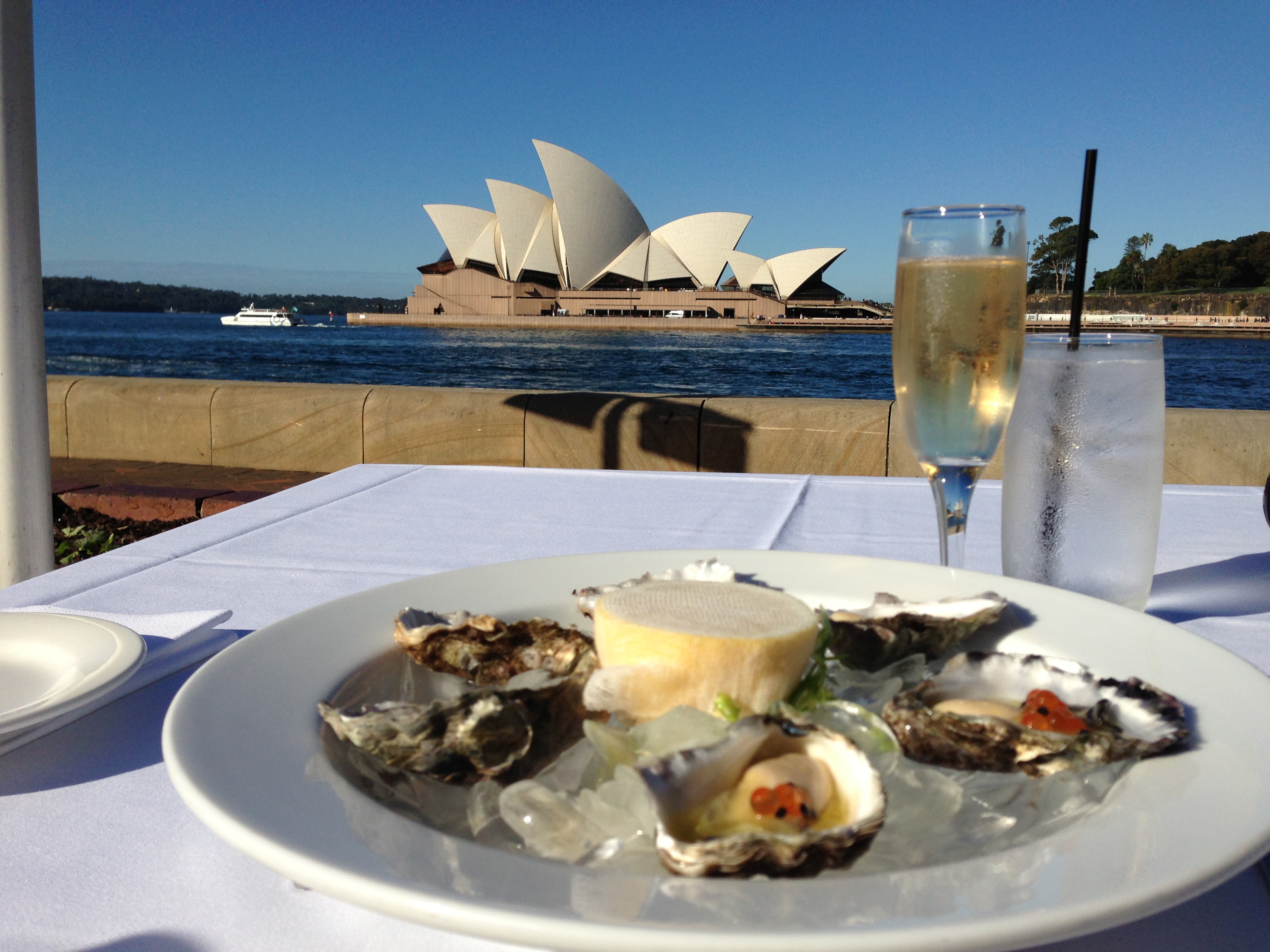 oysters in sydney