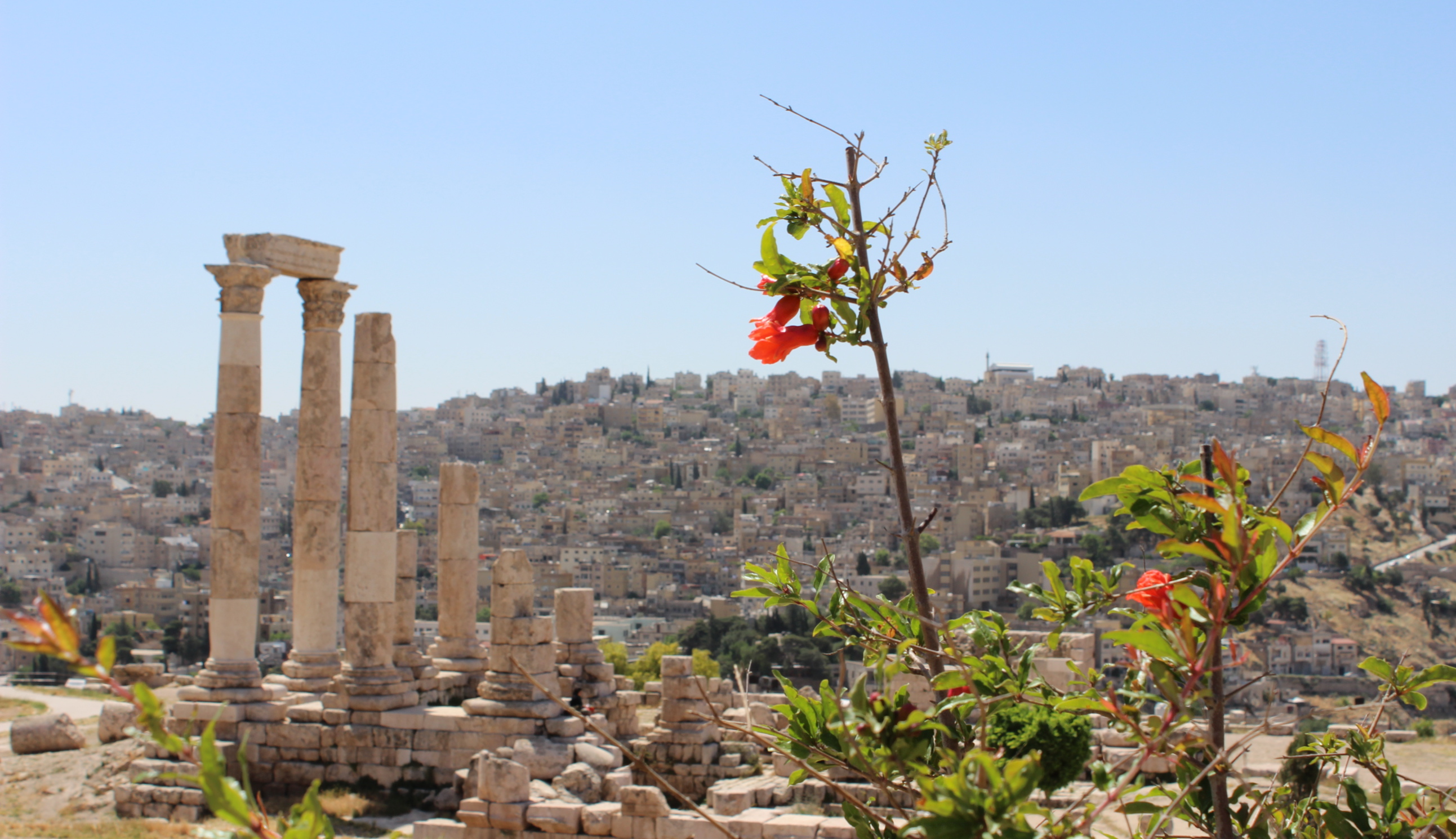Citadel Amman Historic Jordan