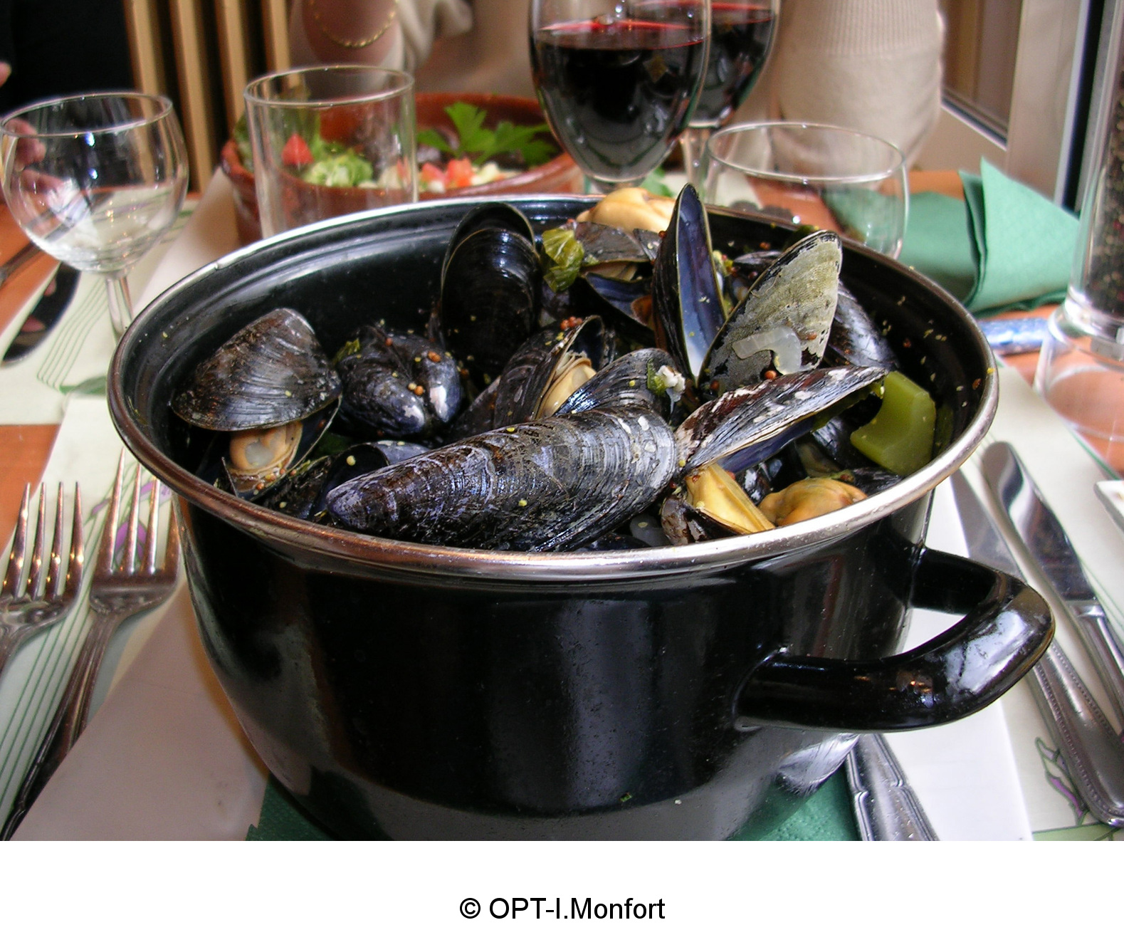 A fresh pot of Belgian mussels. Credit: OPT-I.Monfort